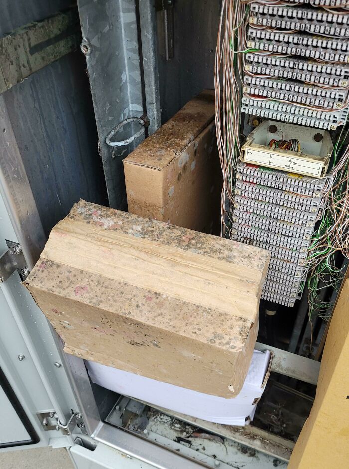 Tech Hasn't Been Installed But Stored In The Non-Ventilated Outdoor Box For Months... Never Seen Cardboard That Moldy