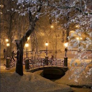 mountblossom239 avatar