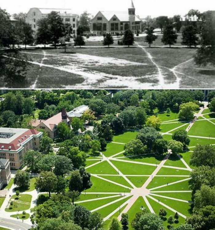 The Pathways At Ohio State University Were Paved Based On The Routes Students Took Before There Were Paved Paths