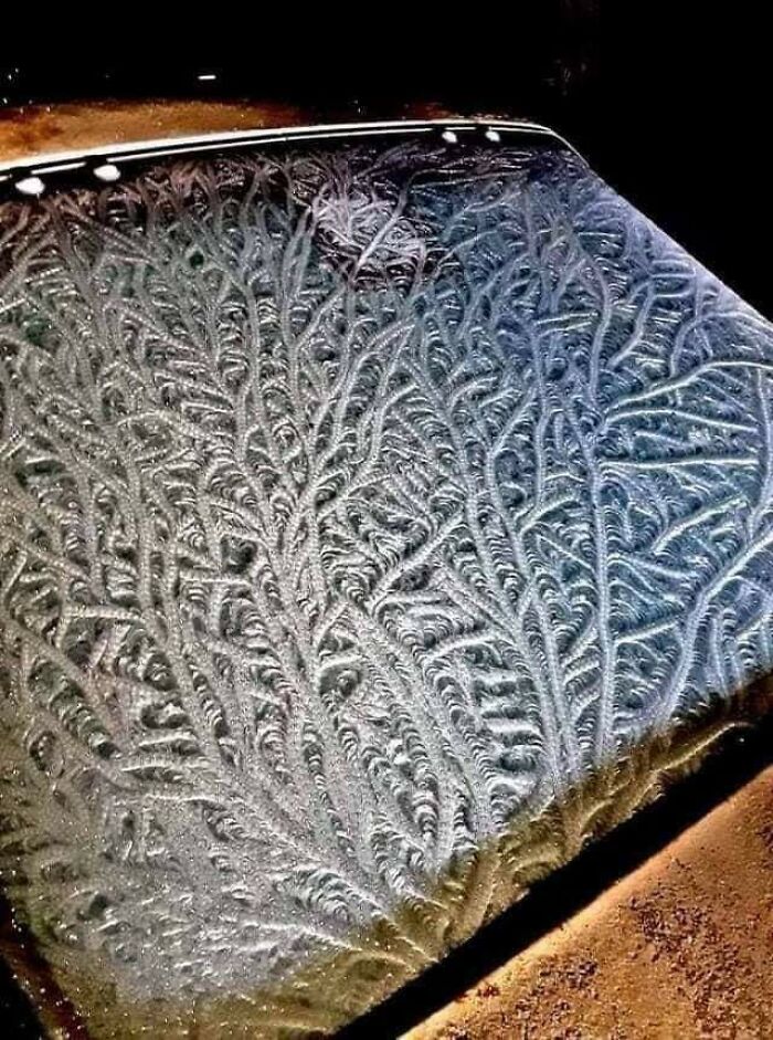 A Frozen Windshield After A Windy Night