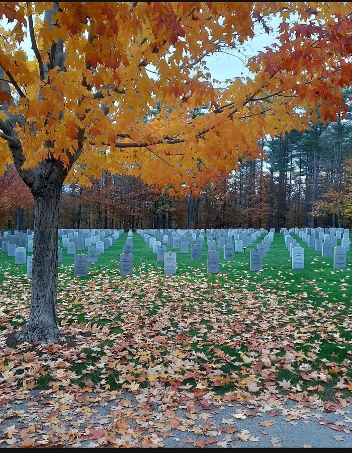 This Photo Of Cemetery Looks Like 2 Photo Put Together