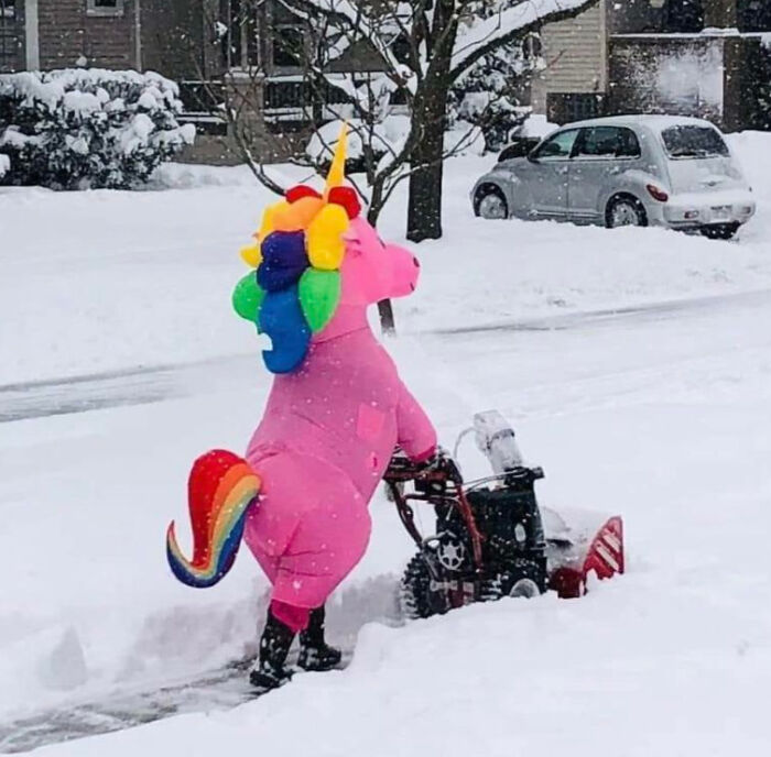 We Got 10 Inches Of Snow Over The Weekend And This Lovely Neighbor Helped To Clear The Sidewalks