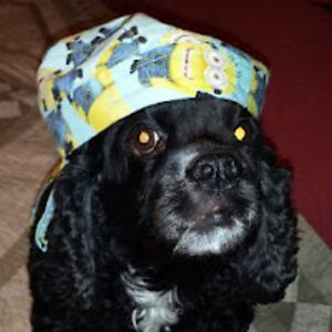 beautifulfaith avatar