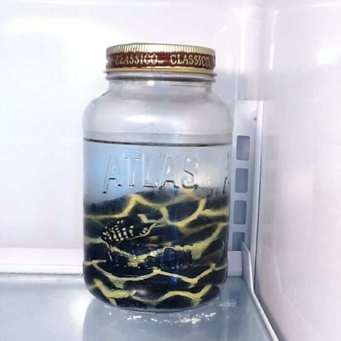 I Checked Into My Airbnb Apartment In Seattle Today And Saw This When I Opened The Fridge. F**k Everything About This