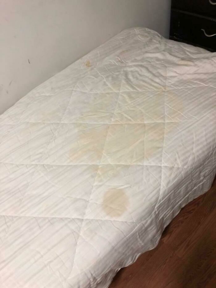 The Sheets At My Airbnb. Homeowner Wouldn’t Answer The Phone Because It Was The Sabbath And He Couldn’t Work