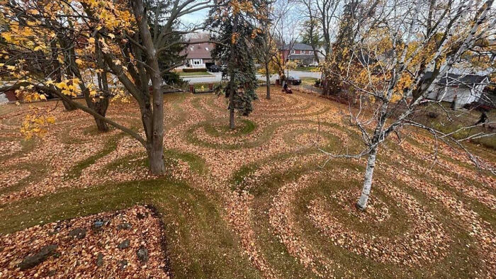 My Dad Is At It Again With His Aesthetically Pleasing Crop Circle Leaf Mulching