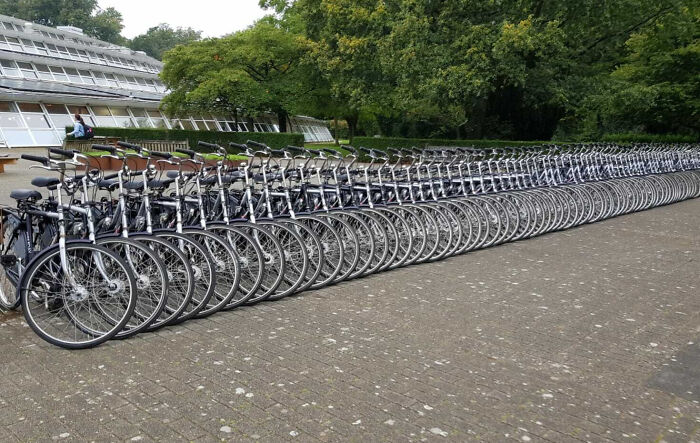 The Way My Dutch School Has Arranged These School Bikes