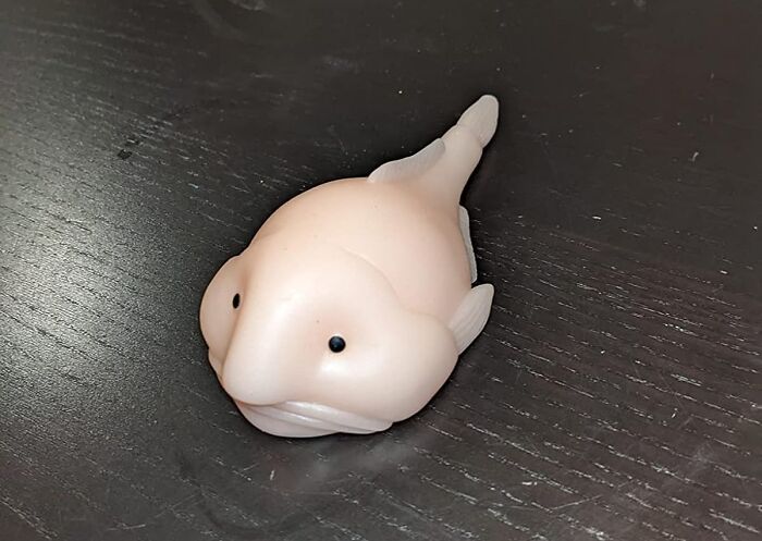 Feel The Joy Of Squishy Comfort With Sunny The Blobfish Novelty Toy – The Strangest Companion To Light Up Your
