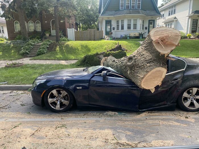 A Bmw Wrecked By A Tree