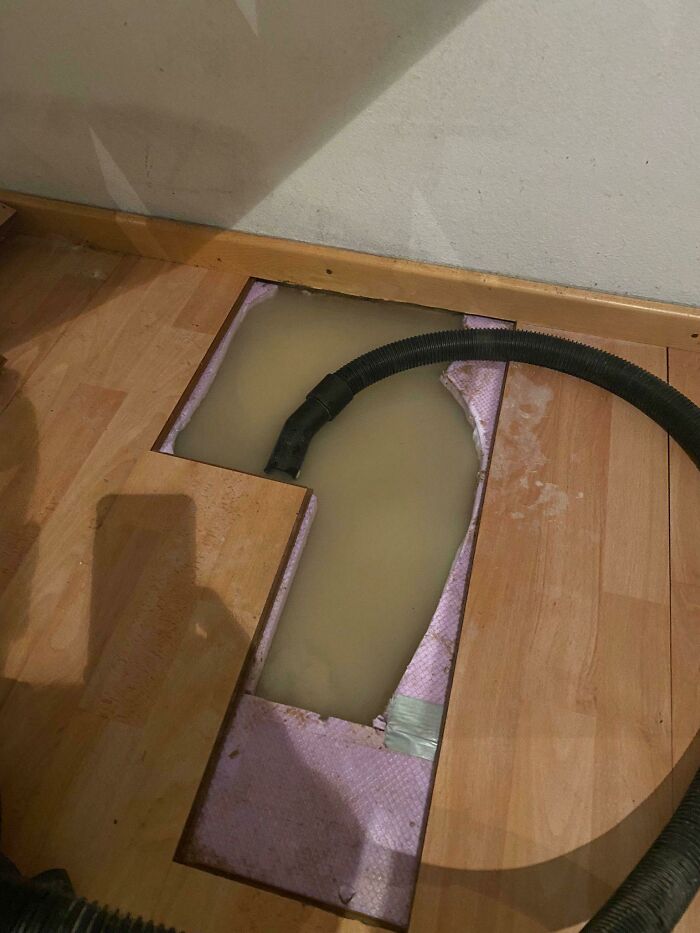So My Friend Suddenly Had Some Water Leaking Through His Wooden Floor In His Appartment