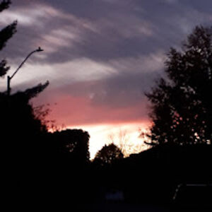 kimberleygagne avatar