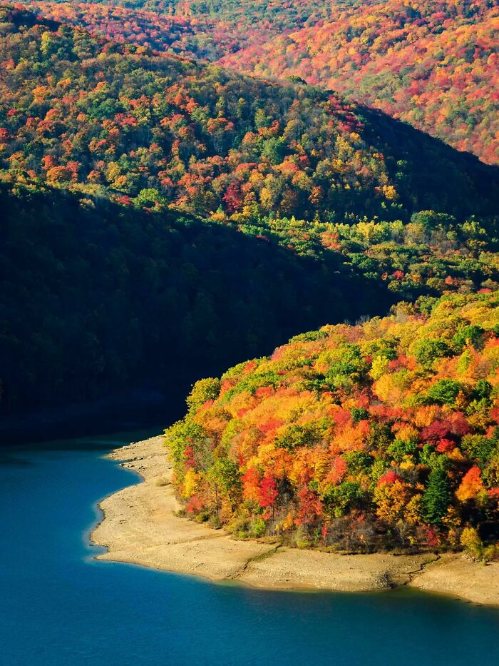 Bosque de Allegheny, por Zack Frank