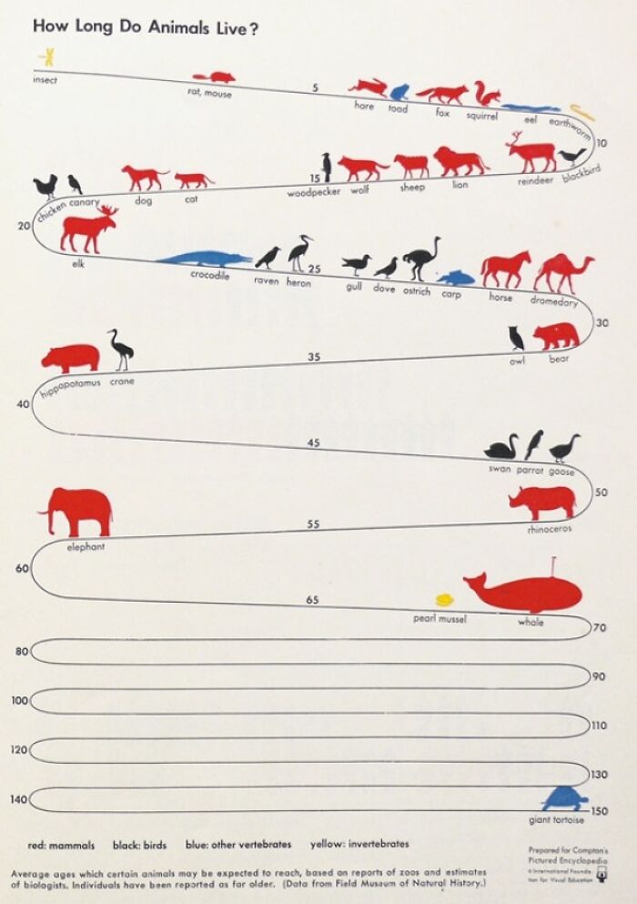 Lifespan Of Animals