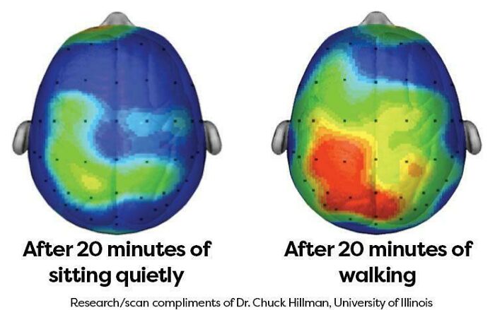Researchers Studied The Effects Of A 20-Minute Walk On The Cognitive Performance Of A Group Of Children. This Is Fascinating