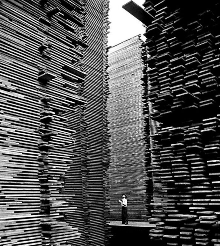 A Man Standing In The Lumberyard Of Seattle Cedar Lumber Manufacturing. 1939