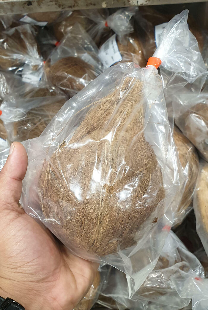 Saw Somebody Post A Pic Of Plastic-Wrapped Potatoes. I Raise To You, Plastic-Wrapped Coconuts