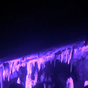 camdenbino-trevino avatar