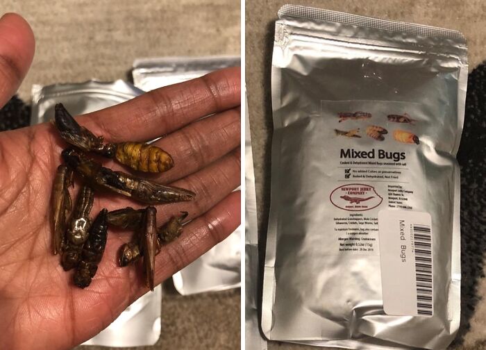 Cricket, Mealworm Or Beetle? Take Your Pick From The Bag Of Mixed Edible Bugs - It's What’s On The Inside That Counts, Literally And Figuratively