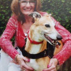 donnamariecorrieri avatar