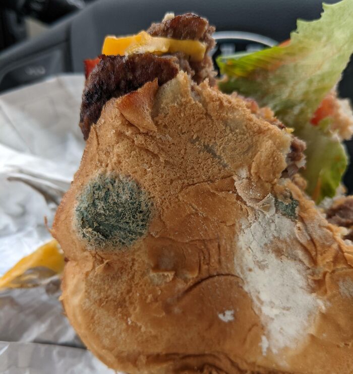 My $7 Wendy's Burger For Lunch Today