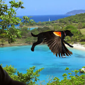 erlanderaisetharian avatar