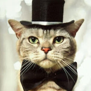 annamendezamende32 avatar