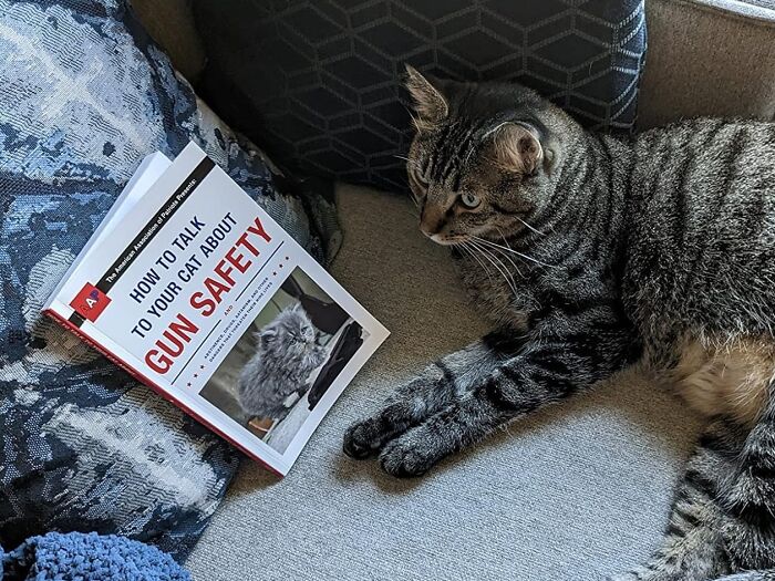 Share The Purr-Spective With 'How To Talk To Your Cat About Gun Safety' - A Very Serious Book That Packs A Punch(Line)