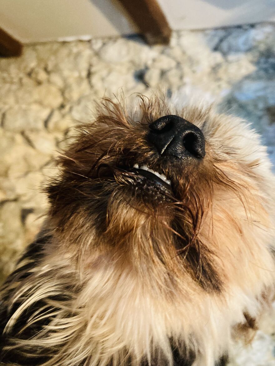 My Phone Photography Tips (33 Pics) My Phone Photography Tips (33 Pics)