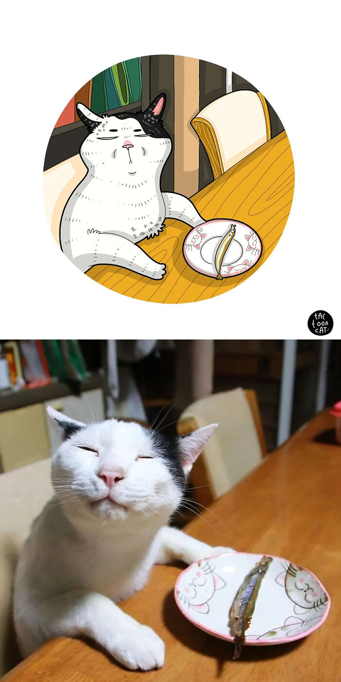 68 Of The Funniest Internet-Famous Cat Pics Get Illustrated By Tactooncat (New Pics)