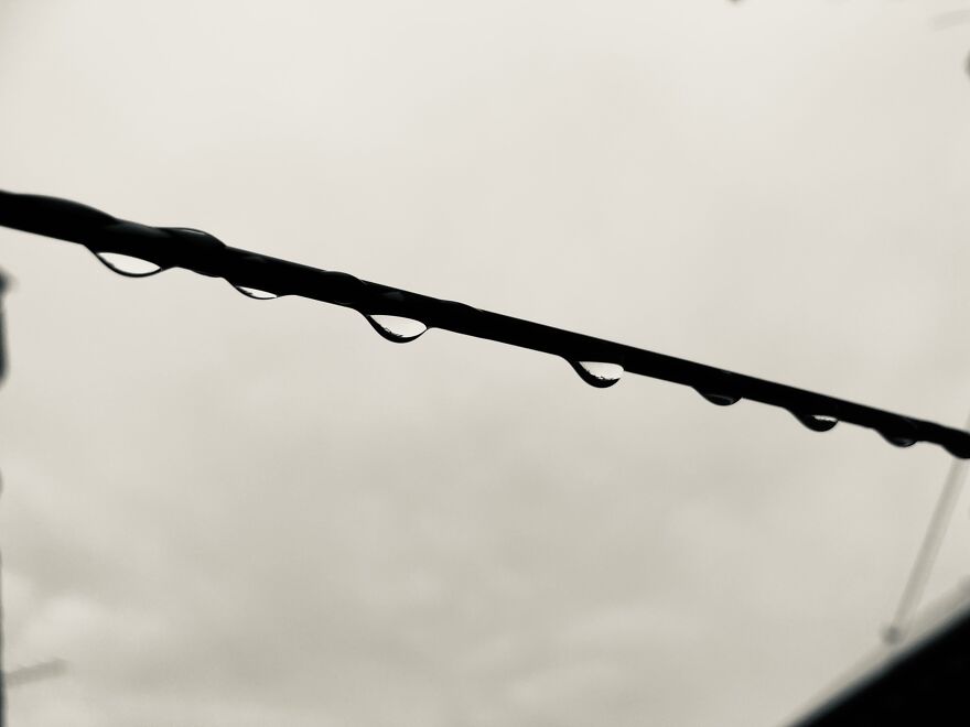 My Phone Photography Tips (33 Pics) My Phone Photography Tips (33 Pics)