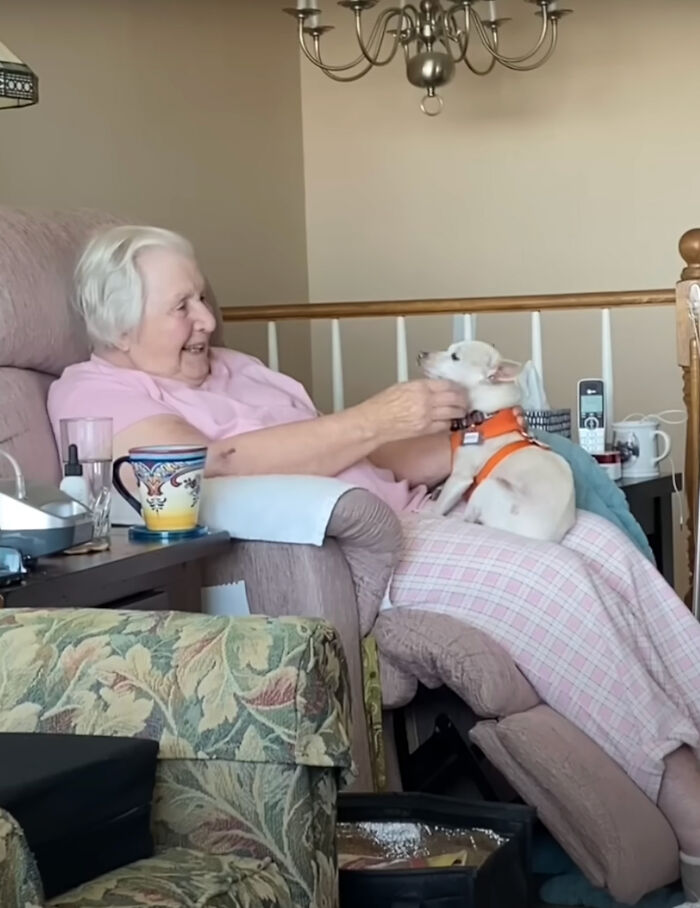 “Gucci Brought Joy Into The House”: Unwanted 11 Y.O. Dog Adopted By 100 Y.O. Woman