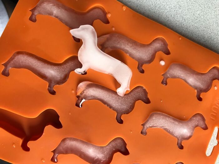 Keep Your Drinks Extra Long, Cool, And 'Wienerful' With Dachshund Dog Shaped Ice Cube Molds - Bring Some 'Tail-Wagging' Refreshment