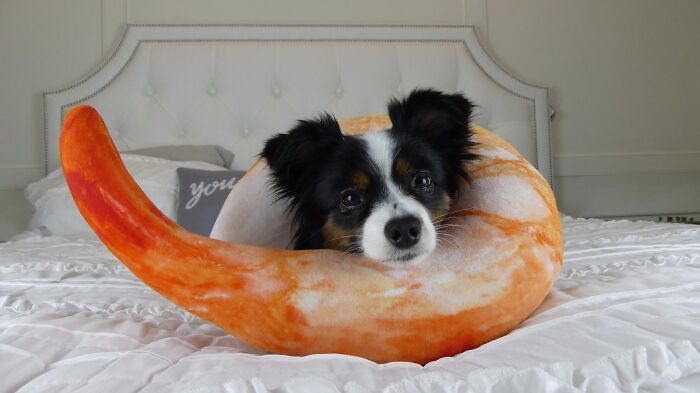 Find Solace In The Embrace Of The Adorable Shrimp Neck Pillow – It's The Bait For A Perfect Nap