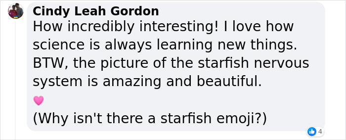 Scientists Discover “Very Weird” Truth About Starfish Heads, Solving Centuries-Old Mystery Scientists Discover “Very Weird” Truth About Starfish Heads, Solving Centuries-Old Mystery