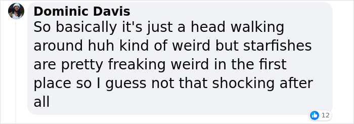Scientists Discover “Very Weird” Truth About Starfish Heads, Solving Centuries-Old Mystery Scientists Discover “Very Weird” Truth About Starfish Heads, Solving Centuries-Old Mystery