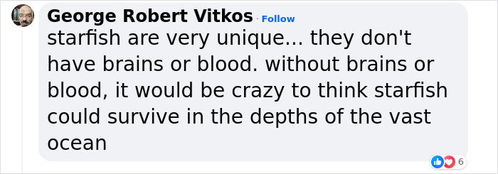 Scientists Discover “Very Weird” Truth About Starfish Heads, Solving Centuries-Old Mystery Scientists Discover “Very Weird” Truth About Starfish Heads, Solving Centuries-Old Mystery