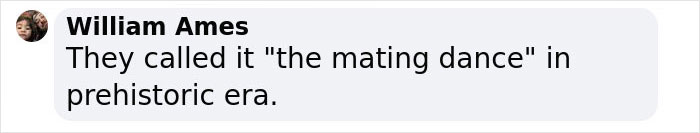 These Bats’ Tools Are Too Big To Reproduce Like Other Mammals, Scientists Find Out How They Do It These Bats’ Tools Are Too Big To Reproduce Like Other Mammals, Scientists Find Out How They Do It