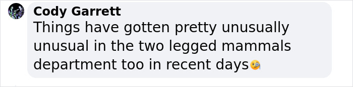 These Bats’ Tools Are Too Big To Reproduce Like Other Mammals, Scientists Find Out How They Do It These Bats’ Tools Are Too Big To Reproduce Like Other Mammals, Scientists Find Out How They Do It