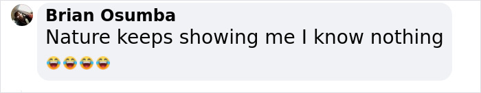 These Bats’ Tools Are Too Big To Reproduce Like Other Mammals, Scientists Find Out How They Do It These Bats’ Tools Are Too Big To Reproduce Like Other Mammals, Scientists Find Out How They Do It