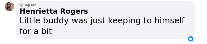 “Brilliant Work”: Shimmering Mole Rediscovered Nearly 100 Years After It Was Presumed Extinct “Brilliant Work”: Shimmering Mole Rediscovered Nearly 100 Years After It Was Presumed Extinct