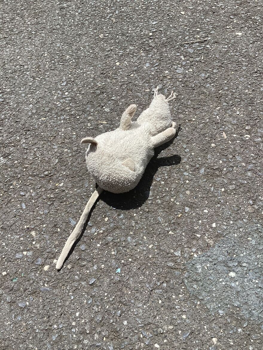 I Searched Up &lsquo;Cursed Images&rsquo; On Google. Here Are Some Of My Favourites!