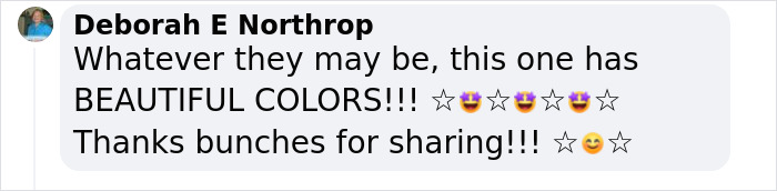 Scientists Discover “Very Weird” Truth About Starfish Heads, Solving Centuries-Old Mystery Scientists Discover “Very Weird” Truth About Starfish Heads, Solving Centuries-Old Mystery