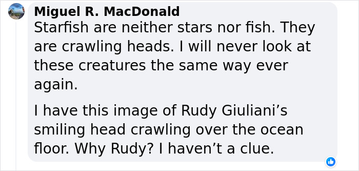 Scientists Discover “Very Weird” Truth About Starfish Heads, Solving Centuries-Old Mystery Scientists Discover “Very Weird” Truth About Starfish Heads, Solving Centuries-Old Mystery