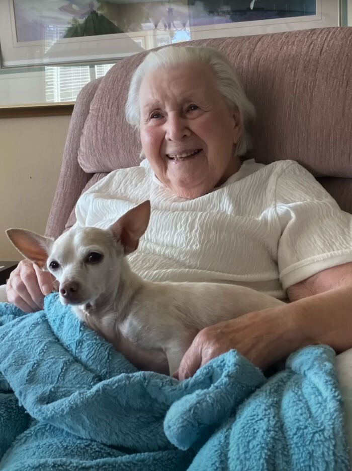 "Gucci trajo alegría a la casa": Una mujer de 100 años adopta a un perro de 11 años que nadie quería
