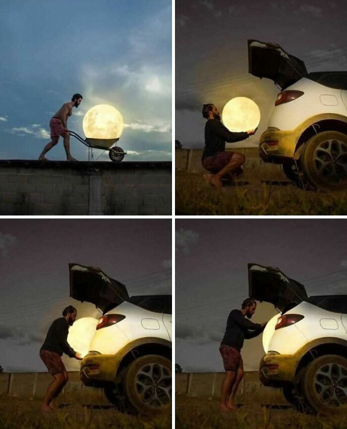 Random Memes To Help Brighten Your Day