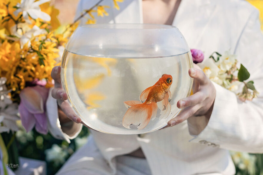 Love Speaks: The Cycle Of 12 Works Love Speaks: The Cycle Of 12 Works