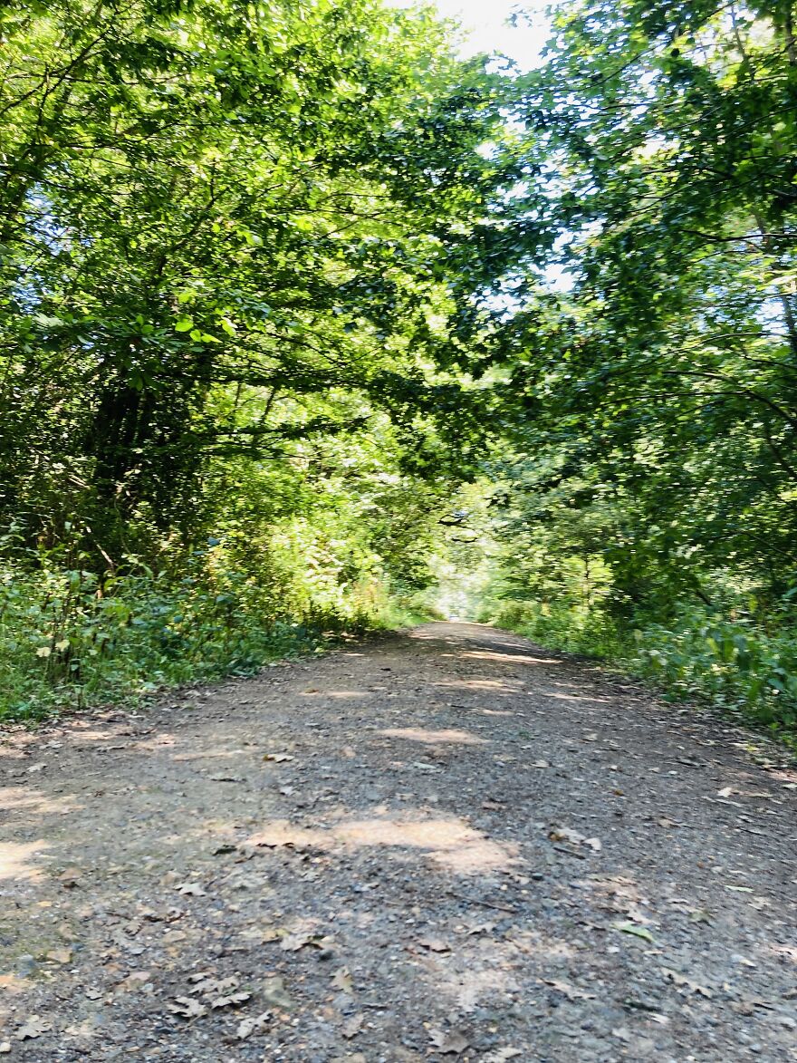 My Phone Photography Tips (33 Pics) My Phone Photography Tips (33 Pics)