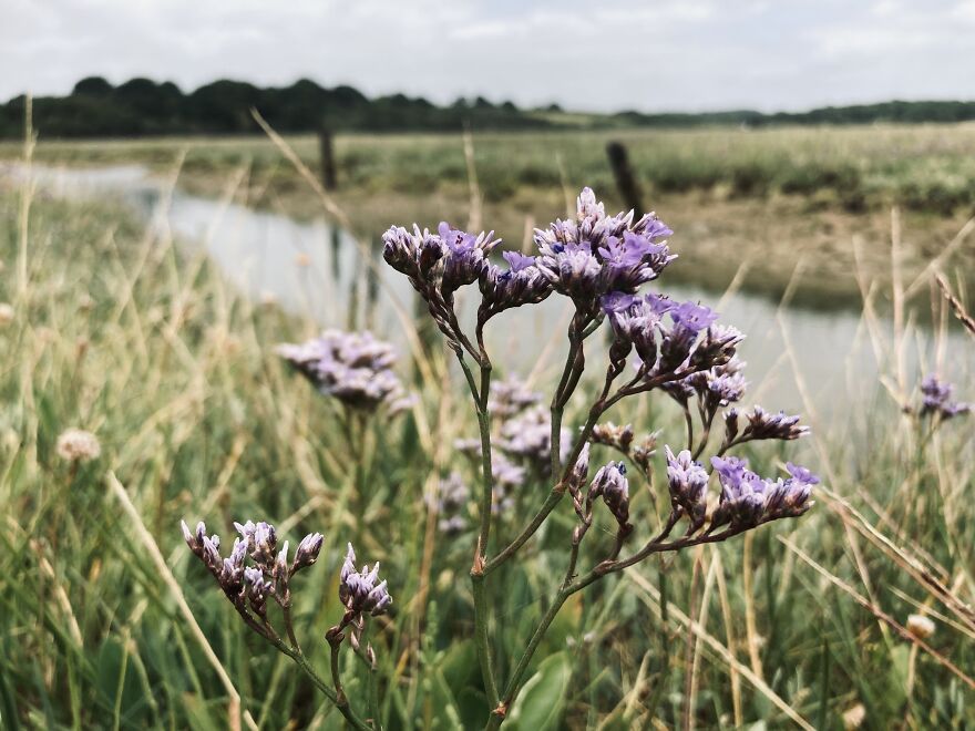 My Phone Photography Tips (33 Pics) My Phone Photography Tips (33 Pics)