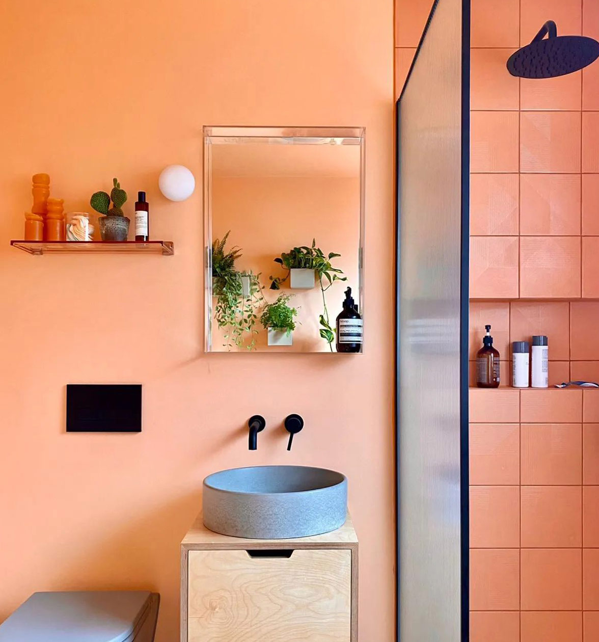 Light orange bathroom with mirror and small plants