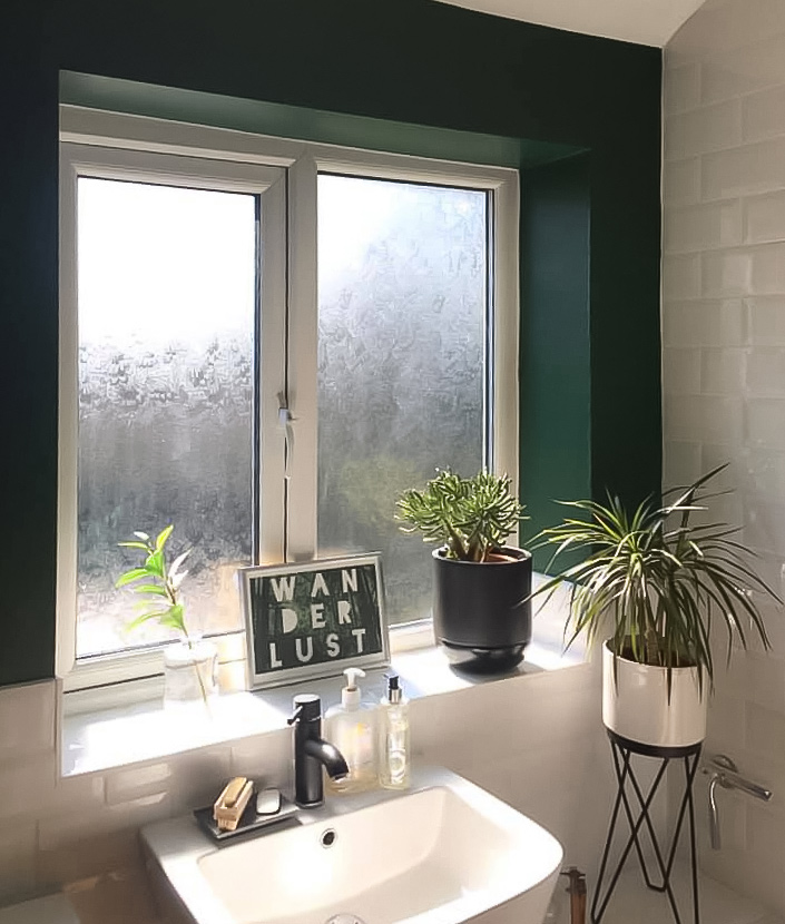 Dark green bathroom with window and plants